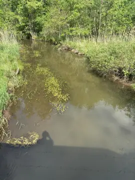 78.82 Acres of Recreational Land