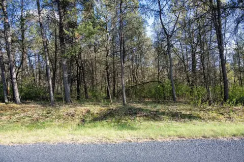 Wooded Lot Near Wisconsin Lakes