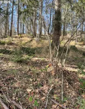 Buildable Lot in South Eugene