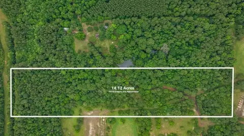 Nacogdoches Land with Artesian Spring