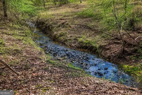 Land with Flowing Creeks