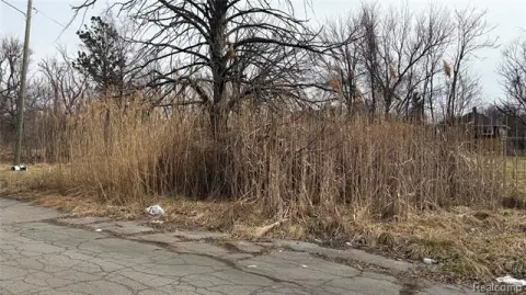 Vacant Lot in Highland Park