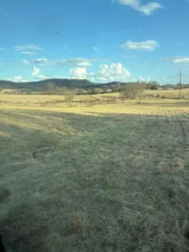 5.6 Acres in Horse Cave