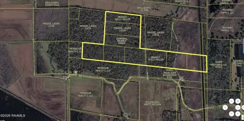 Wooded Hunting Land