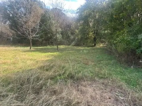 Residential Lot in Memphis