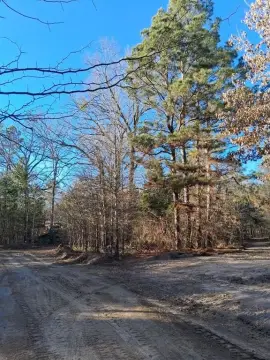 13.2 Acres Wooded Land