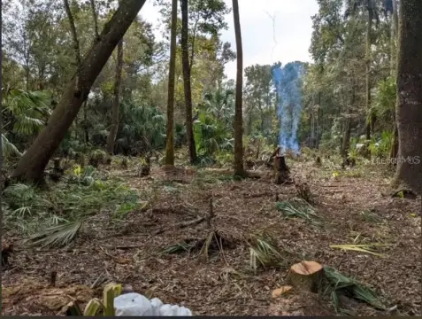 Crystal River Acreage Opportunity