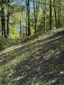 Land Near Bear Lake, MI