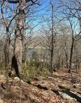 Lake Tenkiller Land For Sale