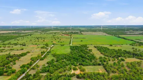 Wheat Pasture Agricultural Land