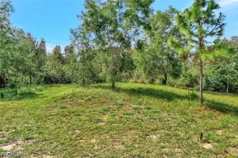 Punta Gorda 5-Acre Homesite
