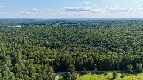 Wooded Hunting Land