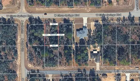 Citrus Springs Buildable Vacant Land