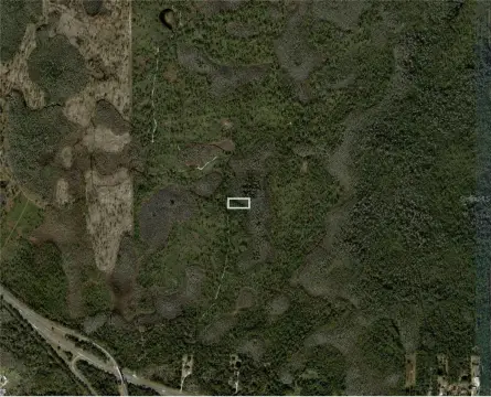 Vacant Land on Dill Road