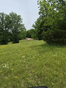 Residential Land in Rogersville, AL