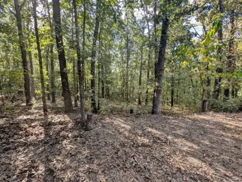 Hunting Land with Cabin