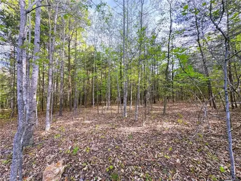 30.4 Acres Hunting and Recreation Land