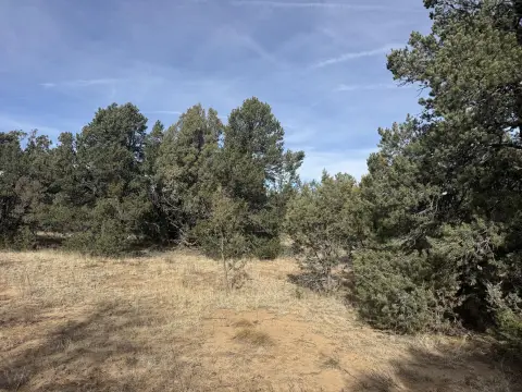 Land For Sale, Tijeras, NM