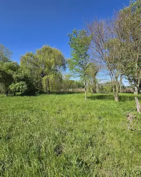 Acre Lot in Three Oaks