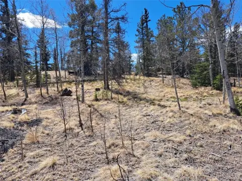 Como Treed Land in Indian Mountain