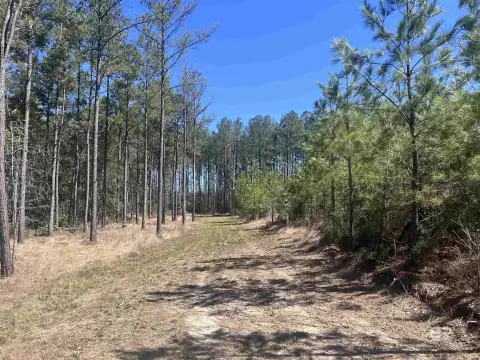 7.5 Acres Timberland Dream Home