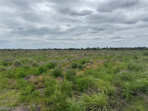 Secluded Agricultural Land in Labelle, FL