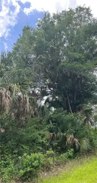 Land in Sebring, Florida