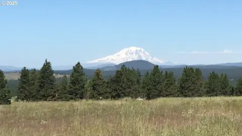 Goldendale Land with Mountain Views