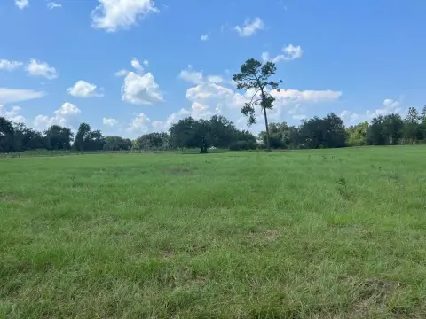 Cleared Commercial Land