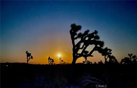 Expansive Desert Land with Views