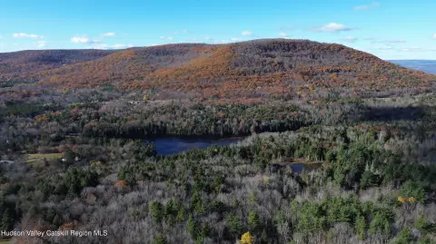Catskills Land with Stream Frontage