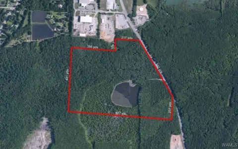 96 Acres Timber Land in Tuscaloosa
