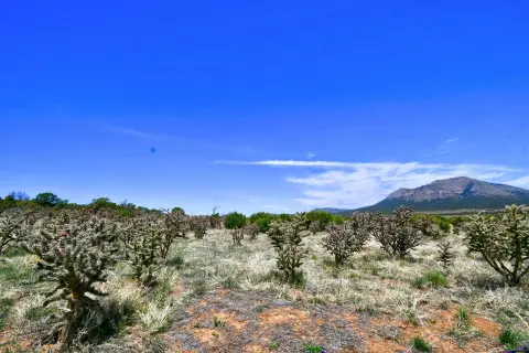 East Mountain Land with Views