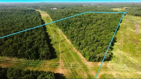 Timbered Land with Road Frontage