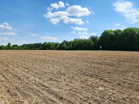 Hunting and Farmland Parcel
