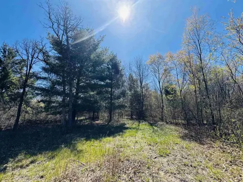 5.93 Acre Wood County Land