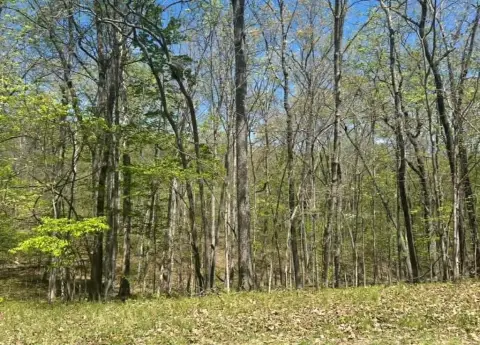 Crossville Land with Golf Access