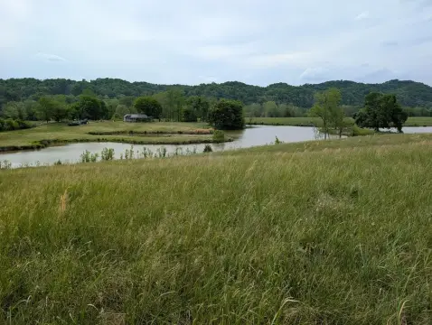 Burkesville, KY Building Lot