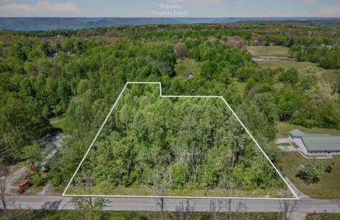 Unrestricted Wooded Land in Sparta