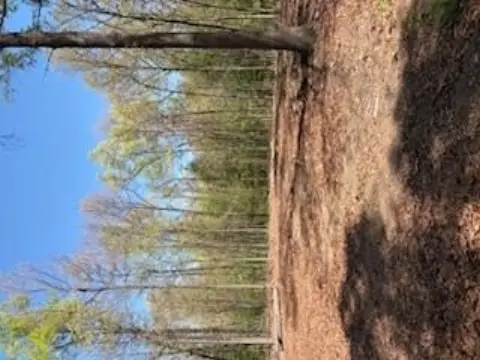 5.67 Acres in Jamestown, TN