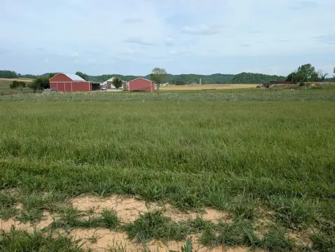 Burkesville, KY Building Lot