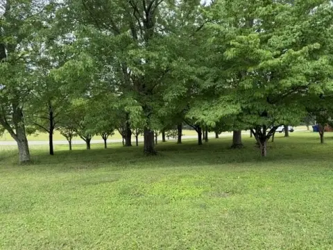 Residential Land in Corbin, KY