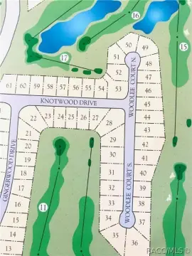 Golf Course Lot in Homosassa