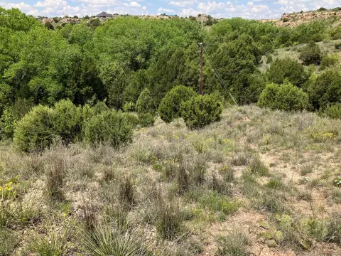Amarillo Land with River Views