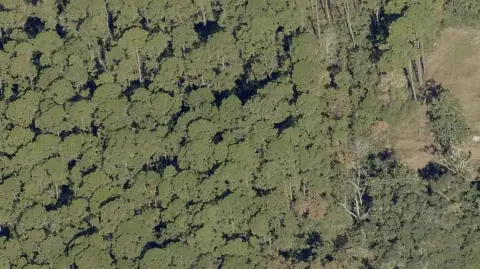 Santa Rosa Beach Vacant Lot