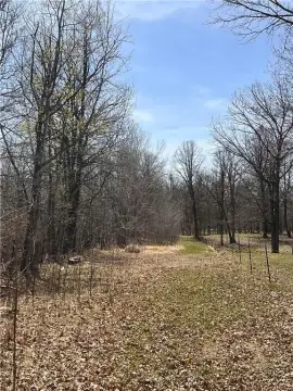 Prime Hunting Land with Public Access