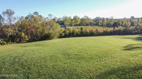 Unrestricted Land in Winfield, TN