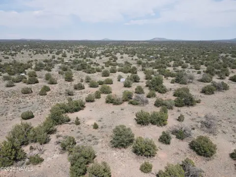 Wooded Acre Near Grand Canyon