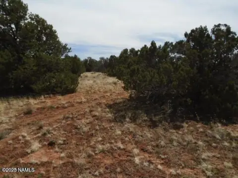 3 Acres Near Grand Canyon