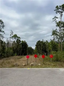 Acreage Homesite with Wetland Constraints